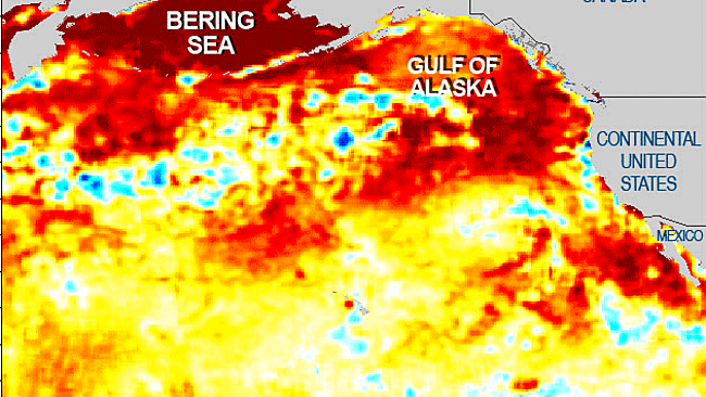 North Pacific sea surface warming